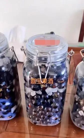 东莞人家里都种的“土豪果”身价暴跌10倍！曾卖到500元一斤