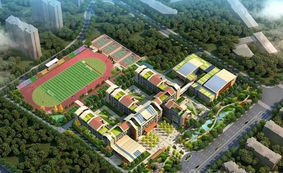 超级小学青岛合肥路,青岛好消息