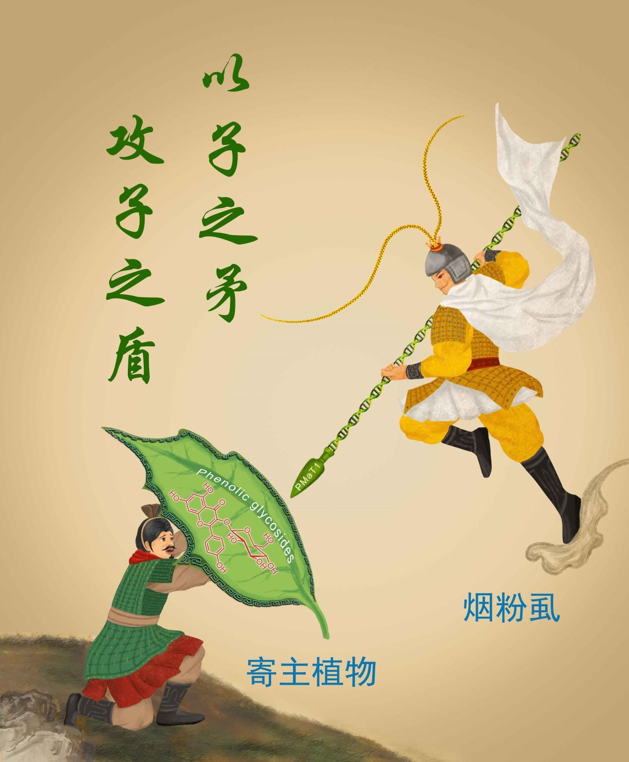 中国农业大学昆虫学,农业昆虫学文献