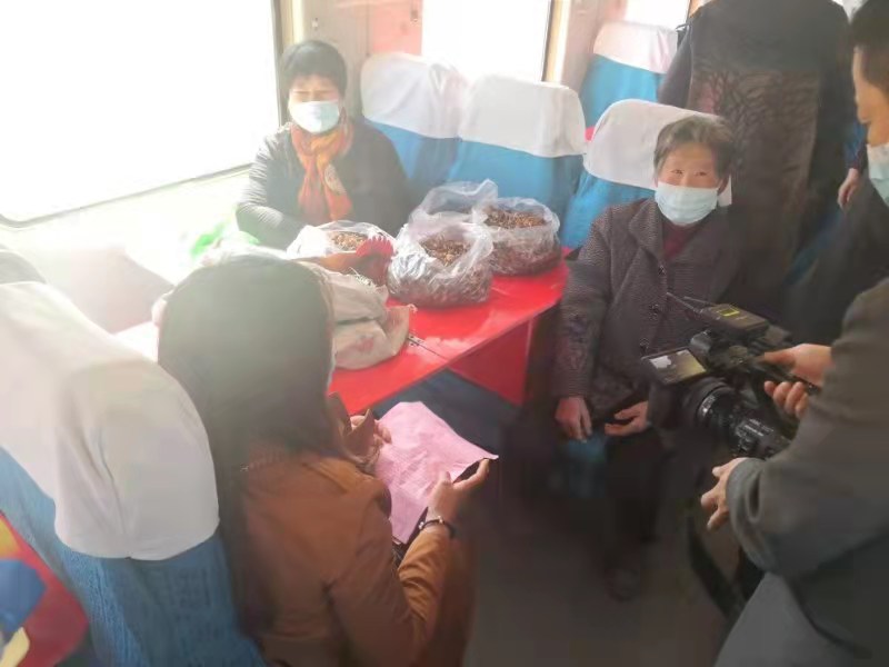 为群众办实事12309,为群众办实事便民服务高效