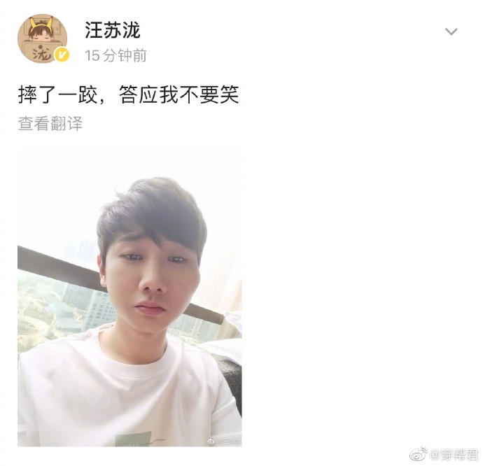 汪苏泷的脸摔肿了,汪苏泷脸肿成蜜蜂小狗