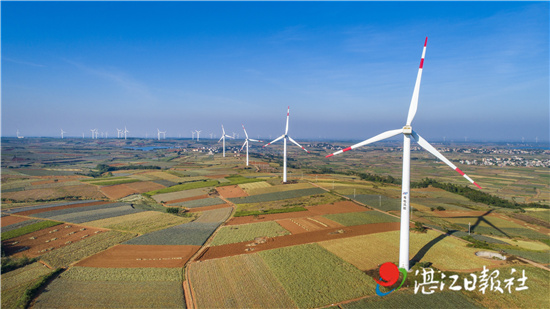 菠萝的海罐头加工厂,菠萝的海