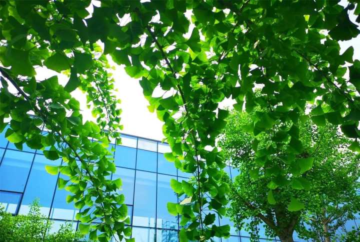 医护最美瞬间随手拍,医院最美照片