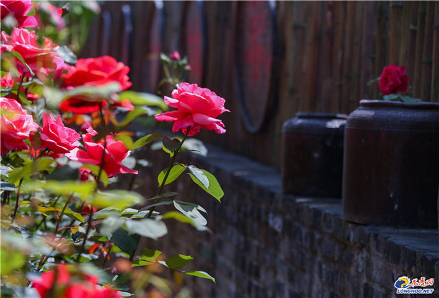 溧水一日游必去景点免费景点石湫,南京秋天溧水景点推荐
