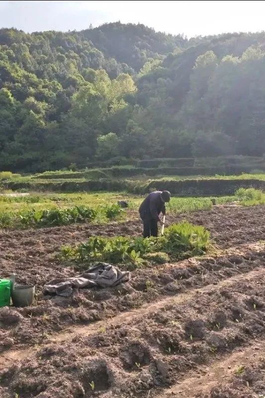 义乌美食及景点,义乌一日游必打卡美食