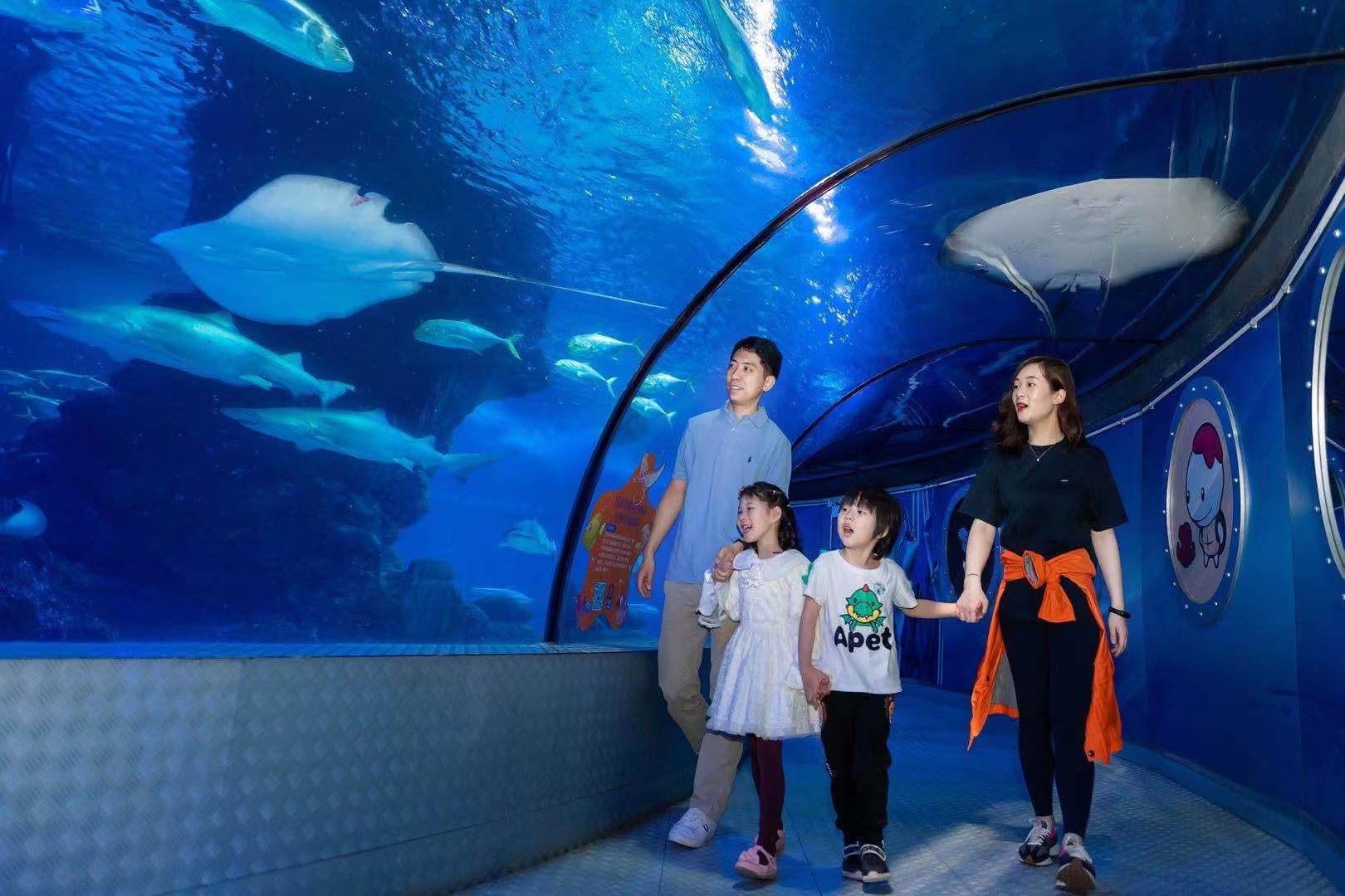 这里有没有你的童年回忆?上海长风海洋世界“鳐鱼湾”全新亮相,神秘深海世界等你来探索