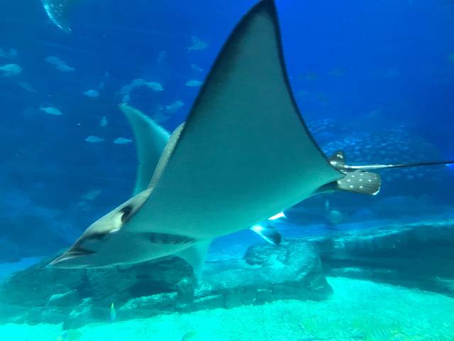 五一打卡珠海，雨神与我们同在