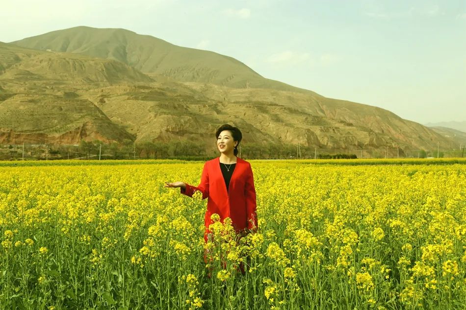甘肃武山油菜花开了,武山的油菜花开了吗