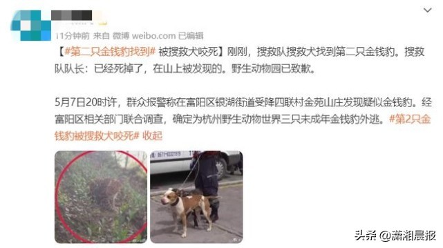 半岛聚焦丨只认“金钱”不识“豹”，为了流量闹哪样？盘点杭州“瞒豹”事件始末