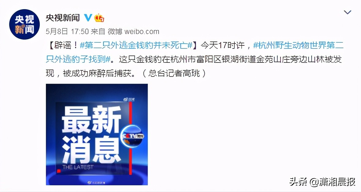 半岛聚焦丨只认“金钱”不识“豹”，为了流量闹哪样？盘点杭州“瞒豹”事件始末