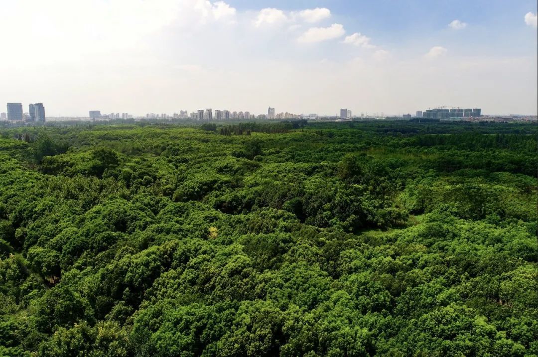 鏈潵鍛煎暩鑰屾潵娣卞害瑙ｆ瀽,鏈潵鍛煎暩鑰屾潵瑙嗛