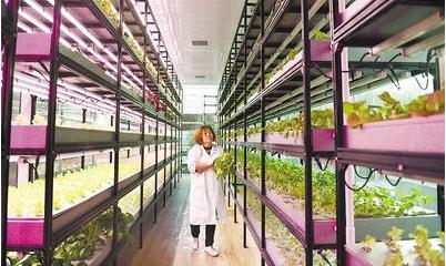 高质量发展河北石家庄,奋力谱写石家庄高质量发展新篇章