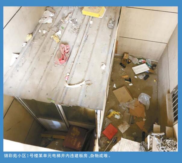 邻居在楼上搞养鸡很臭是否已违法,城里楼顶养鸡臭气难闻怎么举报