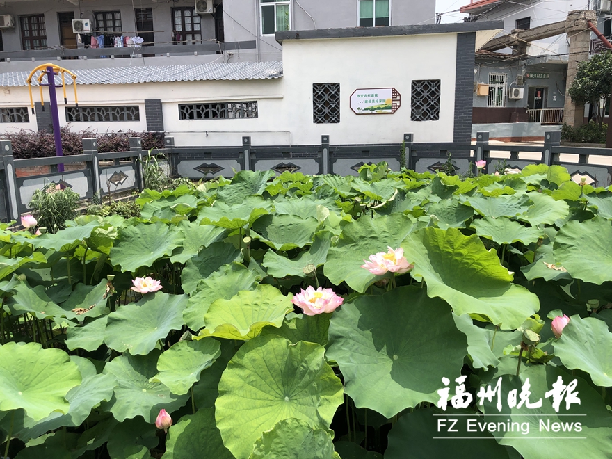 屏洋村简介,长乐屏洋村视频