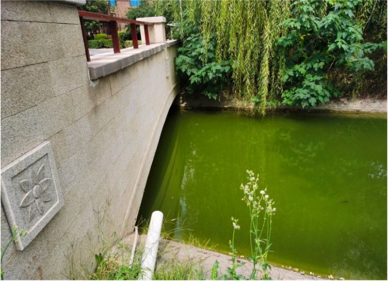 爱车的说说句子,固特异御乘可以跑好多公里