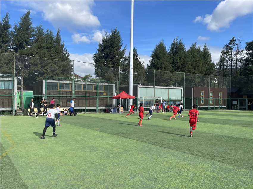 丽江市足球联赛比分,丽江体育场足球赛程表