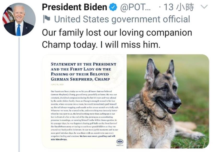 “同岛不同命”“人不如狗”……这么荒唐是*进党民**干出来的事