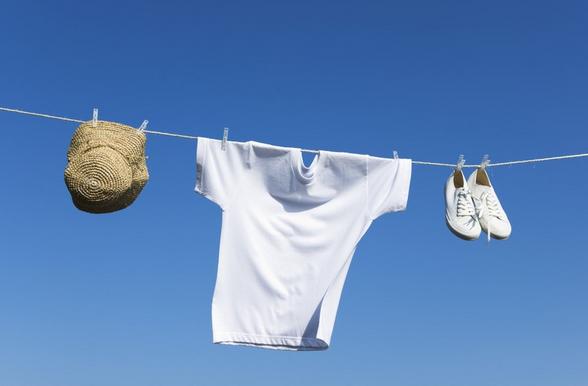 北京号小课堂|水果越甜热量越高？衣服中的涤纶、腈纶、锦纶到底有什么区别？