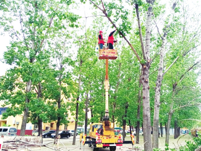 鑱婂煄甯傚煄甯傜鐞嗗眬鍥灄澶勫壇澶勯暱,鑱婂煄鍥灄绠＄悊鏈嶅姟涓績
