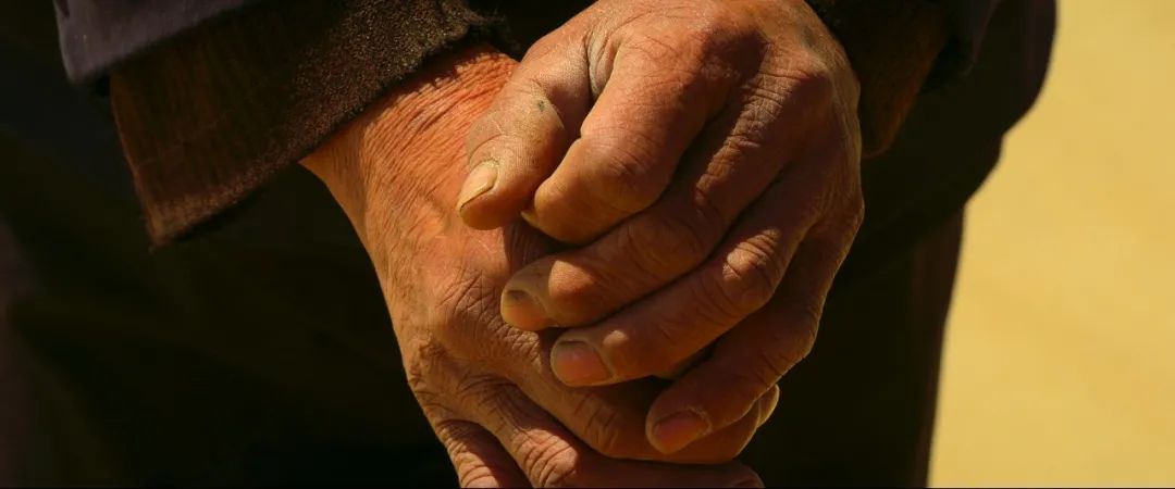 人民大会堂金色大厅,人民大会堂张桂梅