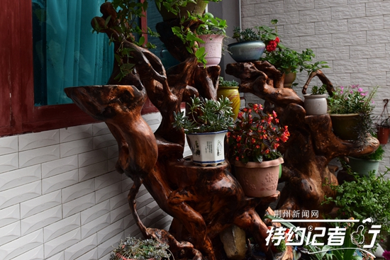 大山里的根雕艺术家,根雕艺术家展示原创根雕作品