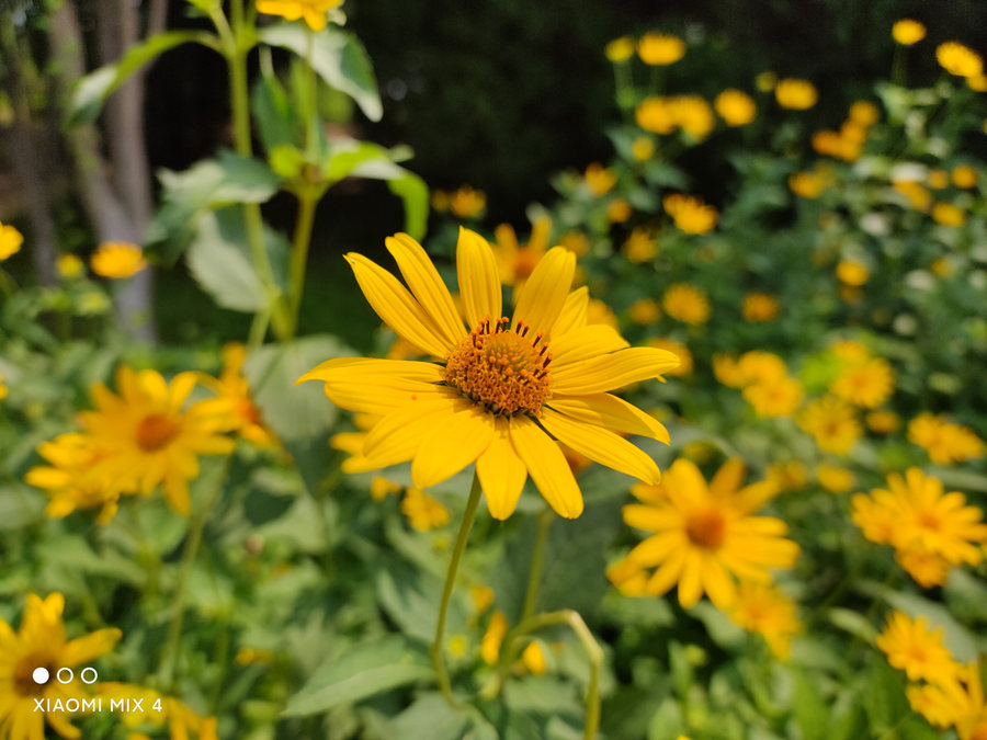 小米mix4屏幕深度评测,小米11ultra与mix4比较