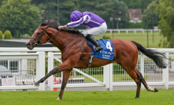 中国各地马匹排名,三马摩托车排行榜