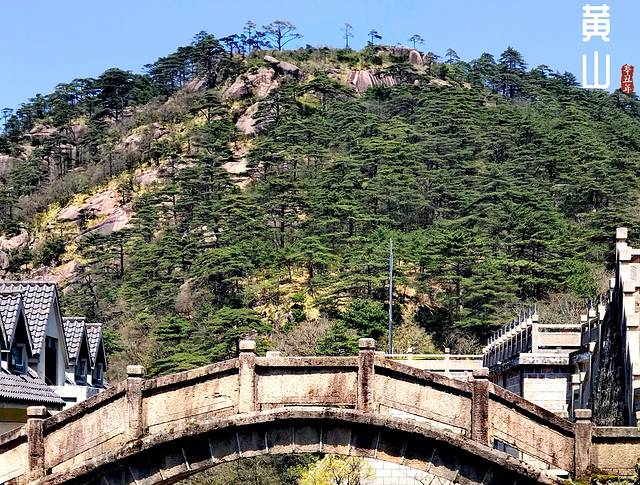 徽州的春天全集,黄山的春天风景