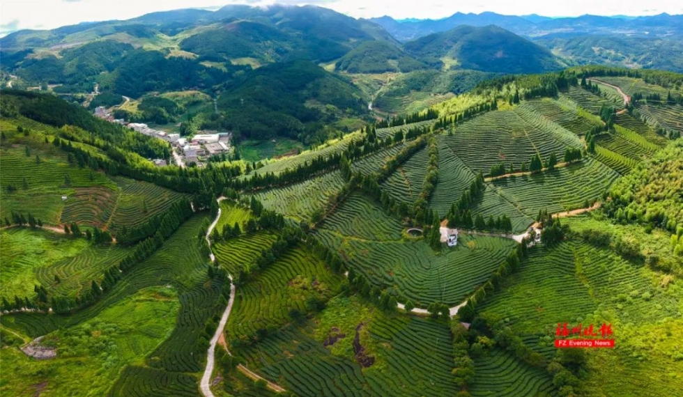不出福州一日游去哪,不出福建省好玩的旅游景点