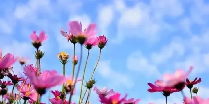 不出福州一日游去哪,不出福建省好玩的旅游景点