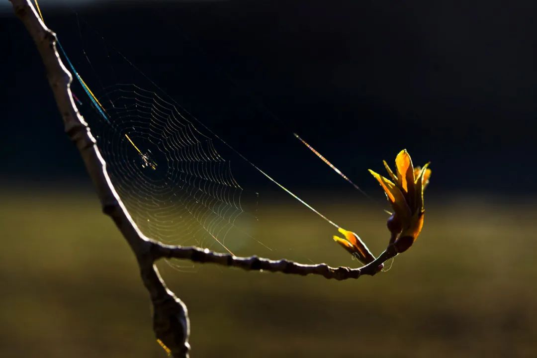 甘孜哪些地方是高原,甘孜真正好玩的地方