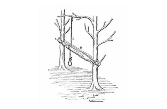 我国工业母机发展历程,中国工业母机现状