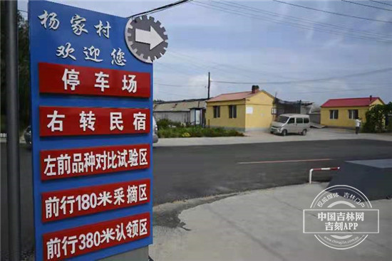 美丽乡村建设与民宿发展感悟,美丽乡村建设与民宿