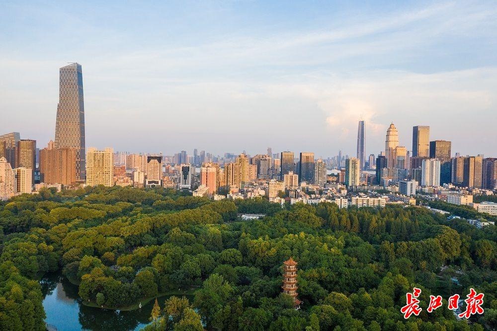 武汉上空飞机看武汉,看武汉高楼的地方