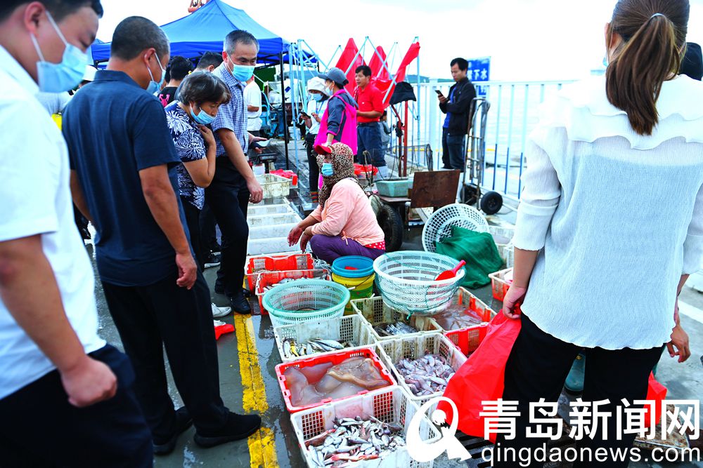 青岛海鲜直播七鲜海汇卖货,青岛海鲜水产直播卖货