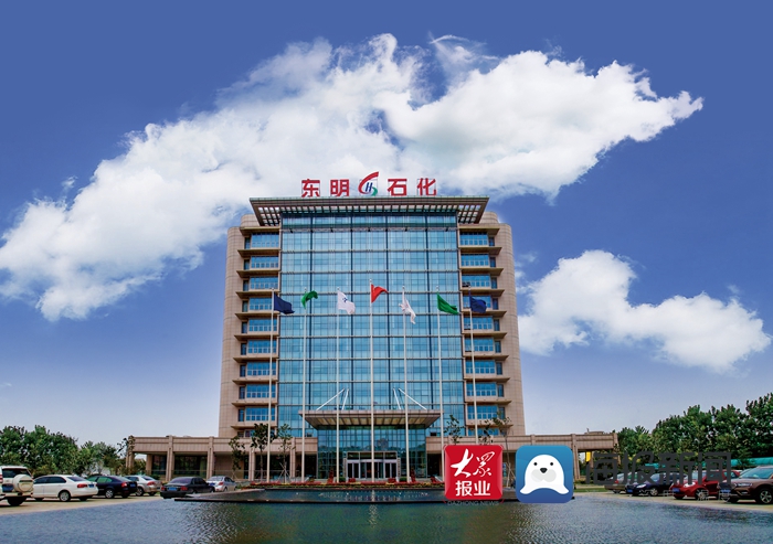 东明石化龙头企业,东明石化集团全球五百强排名