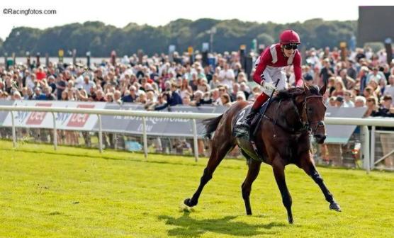 中国各地马匹排名,三马摩托车排行榜