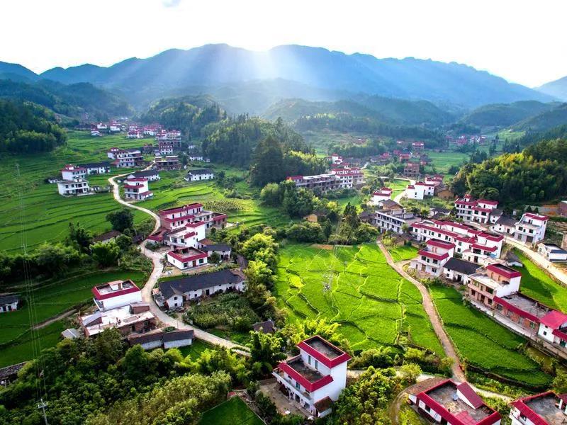 文字版｜专访桂东县委书记伍志平：推动桂东绿色崛起高质量发展