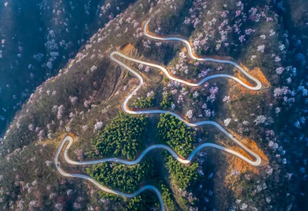 武宁暑假旅游攻略大全,武宁县逍遥岛旅游度假