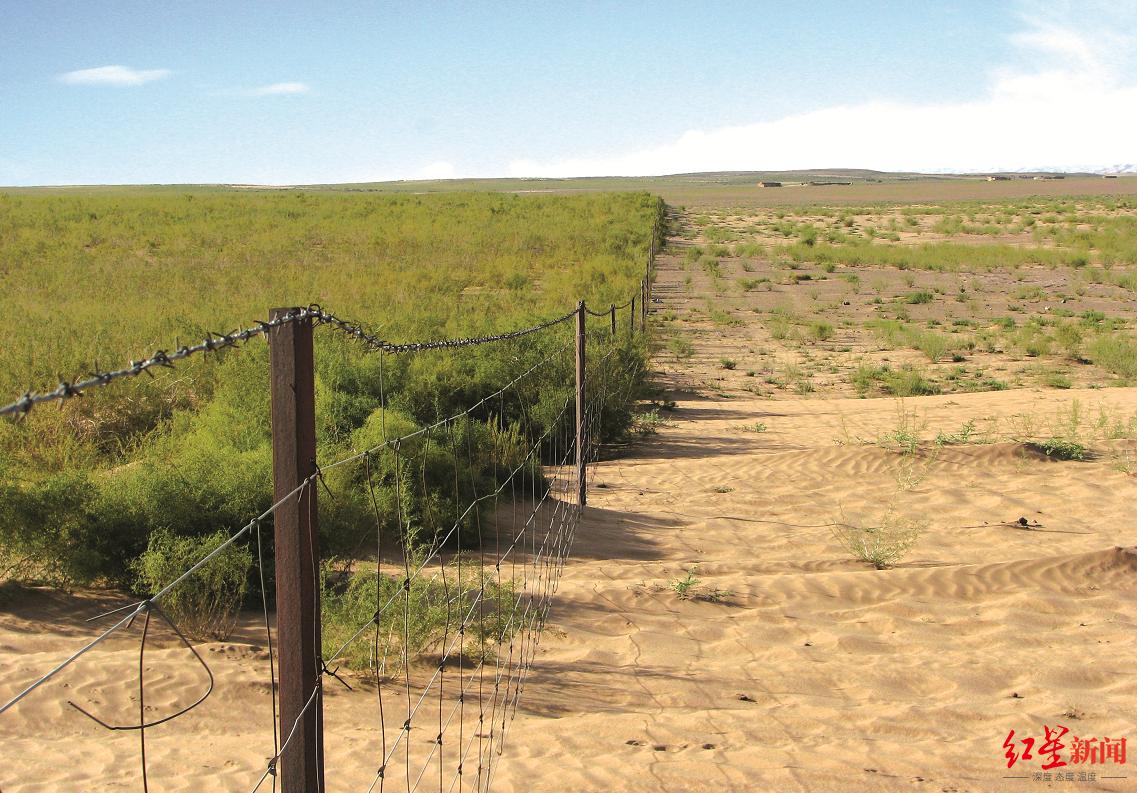 阿里蚂蚁森林怎么赚钱的,蚂蚁森林真的是阿里巴巴掏钱吗