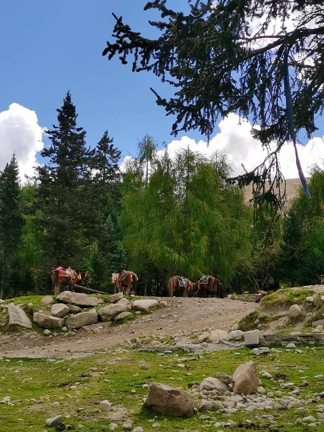 康定情歌木格措风景区自驾攻略,康定情歌木格措风景区舞蹈