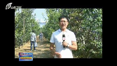 农民田间辛勤劳作喜迎首个丰收节,庆丰收让乡亲们的日子越过越红火