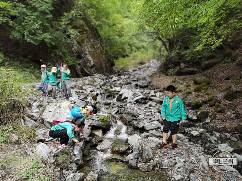 野外生存课展示野外生存技巧,野外生存技能培训班