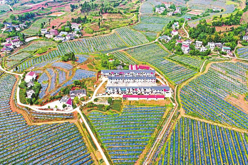 聚焦产业新城引领结构转型,聚焦新发展理念构建新发展格局