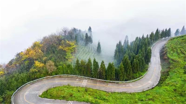 芦山县实时最近交通状况,雅安芦山乡村公路
