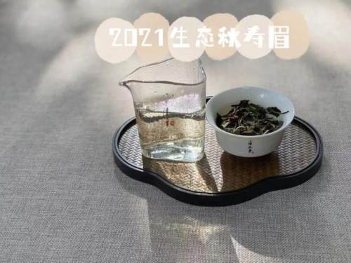 白茶喝起来像新茶吗为什么,白茶喝起来就像酒