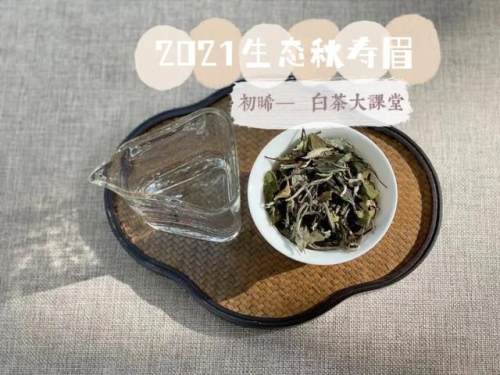 白茶喝起来像新茶吗为什么,白茶喝起来就像酒