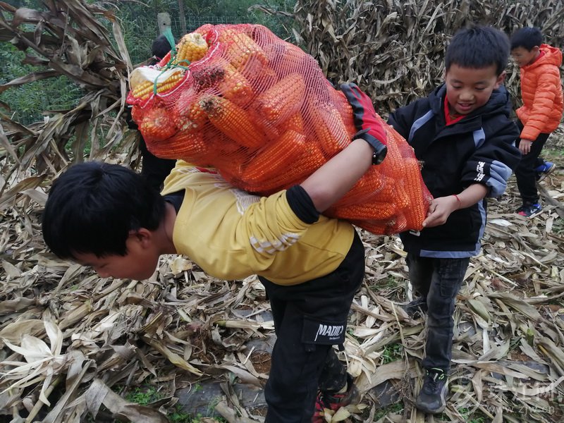 靖外明德小学创新模式,宣威市靖外明德小学教学质量