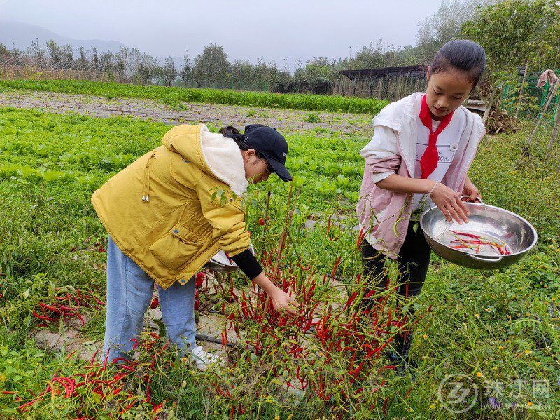 靖外明德小学创新模式,宣威市靖外明德小学教学质量