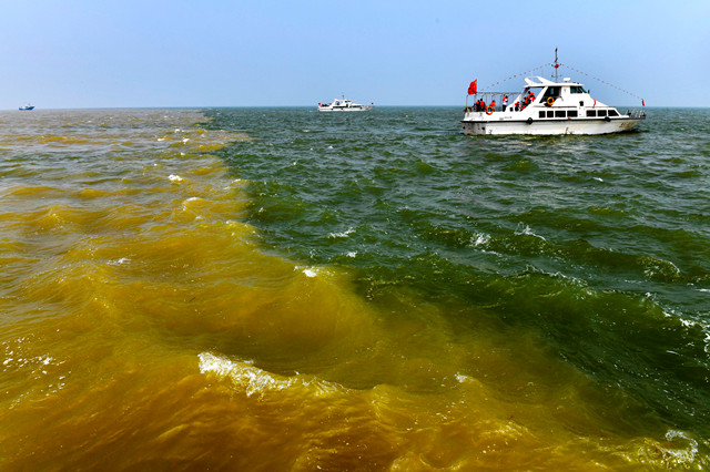 生态湿地百鸟来栖视频,护大河之洲引百鸟来栖